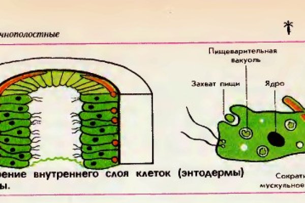 Ссылка на кракен onion kraken dark link