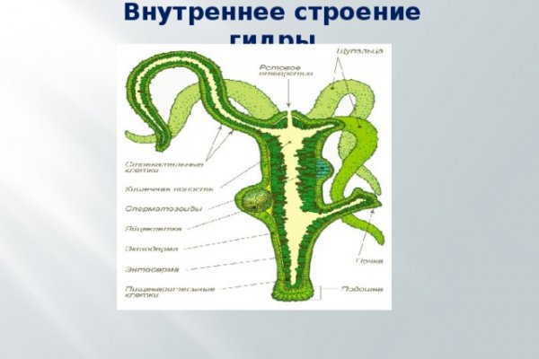 Актуальное зеркало на кракен